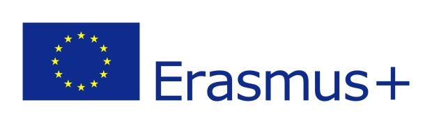 EU_flag-Erasmus_vect_POS(1)